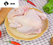 超越鸡肉.jpg